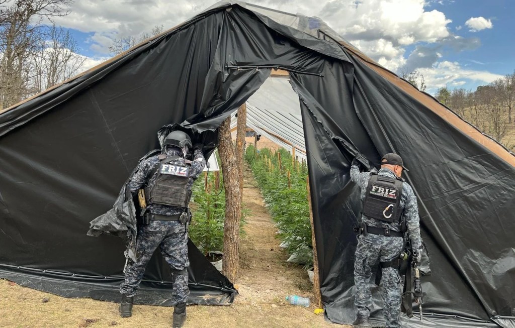 Invernadero de alta tecnología.