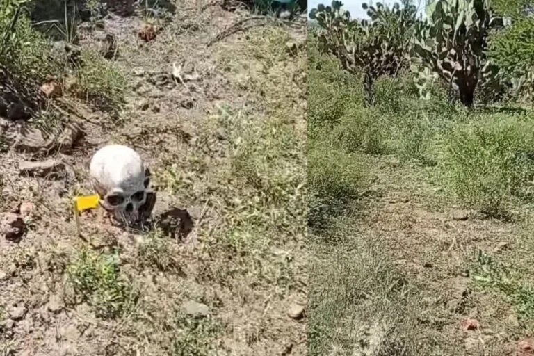 El grupo Escarabajos localizó restos óseos.