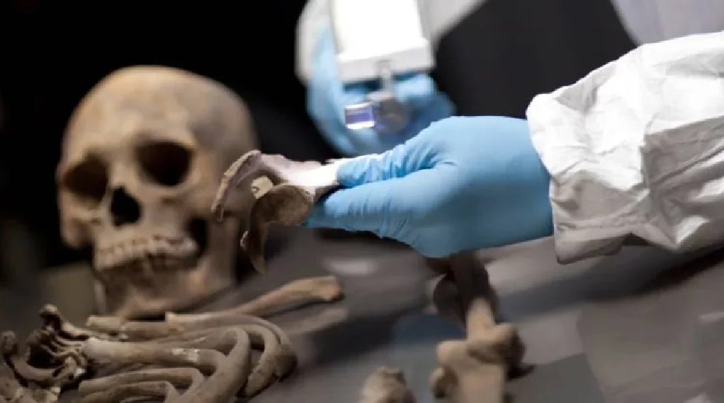 Identificación forense de restos. (Foto de Archivo)