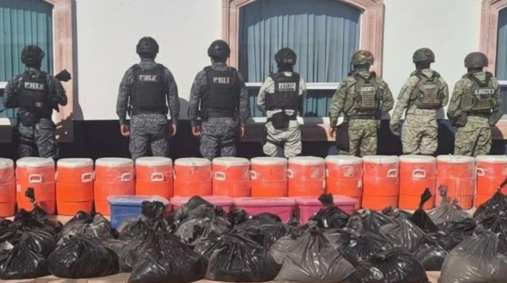 Destruyeron un laboratorio clandestino escondido entre los límites serranos de Apozol y Juchipila.