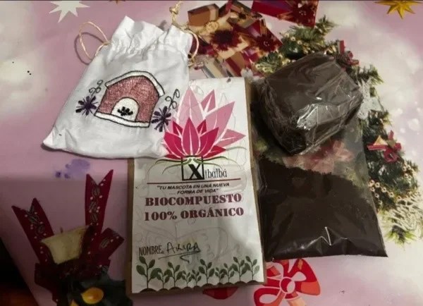 Daban tierra en lugar de cenizas de mascotas.